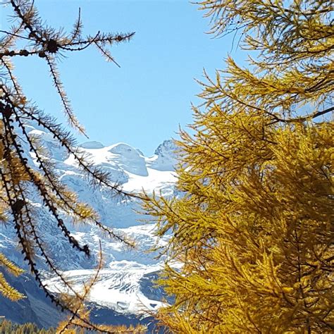 Morteratsch gletscher Switzerland, Poster, Mountains, Natural Landmarks, Places, Nature, Travel ...