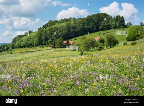 Farmstead with flower meadow and forest, Rhön Biosphere Reserve Stock ...