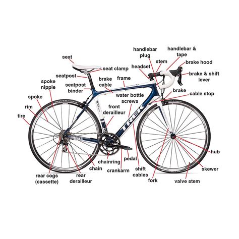 Trek Mountain Bike Parts Diagram | Reviewmotors.co