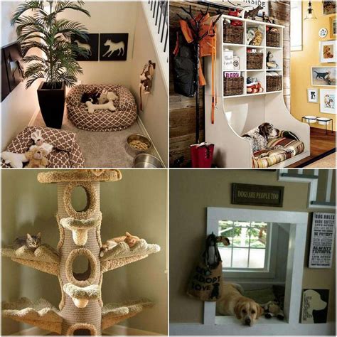 Orlando Avenue Blog » Blog Archive » How to Have a Pet-Friendly Home!