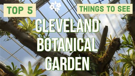 Cleveland Botanical Garden - 5 best things to see here - YouTube