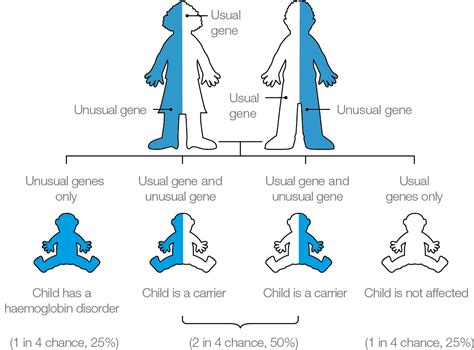 Understanding haemoglobinopathies - GOV.UK