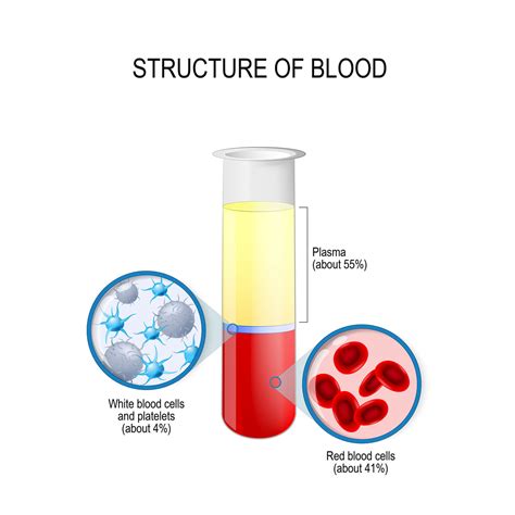 Plasma Therapy: ‘Not Enough Evidence of Effectiveness’, Experts on ...