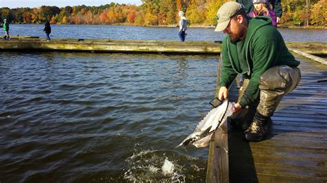 Lake Metroparks Fishing Report: Granger Pond at Veterans Park stocked this morning