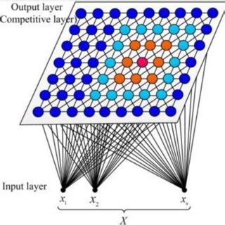 Structure of the SOM neural network | Download Scientific Diagram