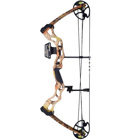 Best Compound Bow For Target Shooting | Warriors Archery