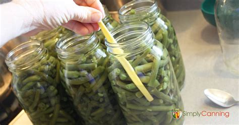 Canning Green Beans: Easy & a Perfect Start for New Canners!