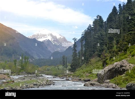 Majestic Jhelum River, a tributary of Indus River, passes through ...