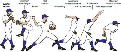 Frontiers | Lower body energy generation, absorption, and transfer in youth baseball pitchers