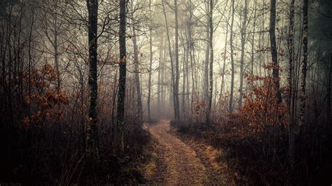 359 by EirikHavre.deviantart.com on @deviantART | Landscape photography ...