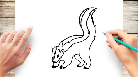 How to Draw a Skunk Step by Step for Kids - YouTube