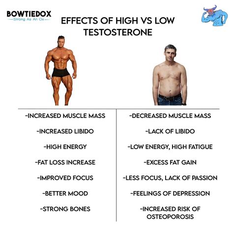 How To Naturally Boost Your Testosterone Levels