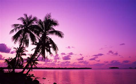 Purple Sunset, beach, purple, bonito, sunset, HD wallpaper | Peakpx