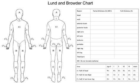 Emergency Medical Responder Course Lund and Browder Burn Chart - MEDI-PRO FIRST AID TRAINING IN ...