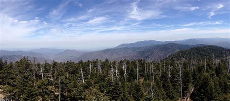 Clingmans dome. Highest point on Appalachian Trail | Appalachian trail, Clingmans dome, Appalachian