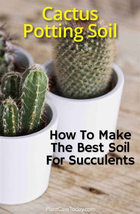 Homemade Cactus Soil Mix: How To Make A Quality Potting Soil For Cacti