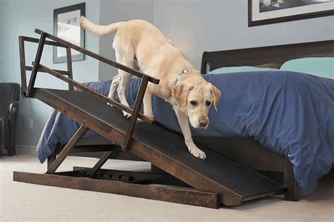 Dog Ramps For Beds