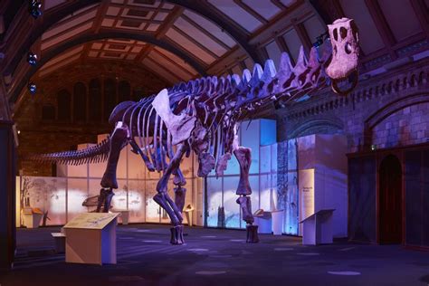 Meet the titanosaur: Dinosaur giant goes on display in Europe for the ...