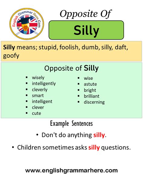 Opposite Of Silly, Antonyms of Silly, Meaning and Example Sentences ...