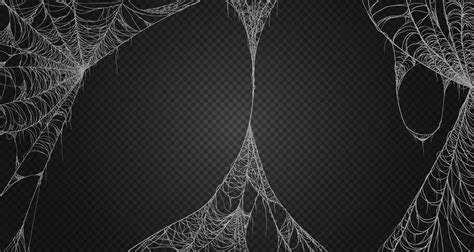 Cobweb realism set. Isolated on black transparent background. Spiderweb for halloween, spooky ...