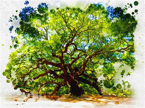 The Angel Oak Tree Digital Art by Don Kuing - Fine Art America