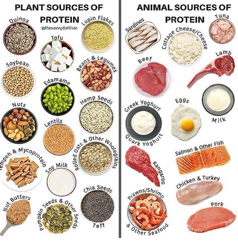 Plant Protein Foods Examples - Foods Details