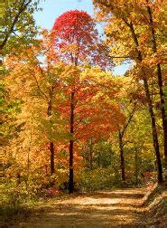 Glade Top Trail National Scenic Byway in Ozark County, Missouri