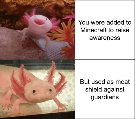 sad noises for Minecraft axolotl : r/PhoenixSC