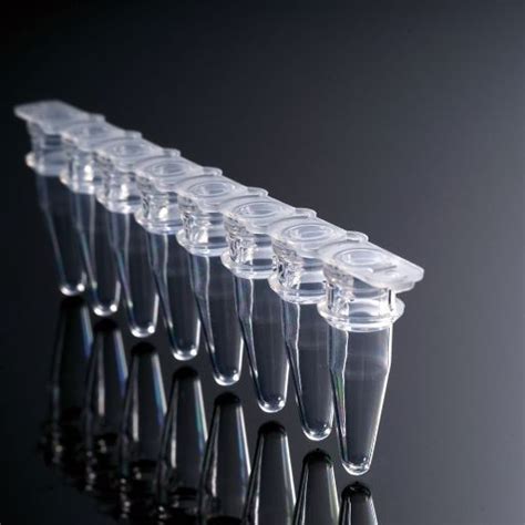 8-Strip PCR Tubes Domed/Flat Caps Laboratory Consumables Manufacturers and Suppliers - Factory ...