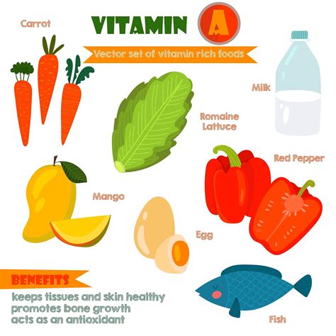 Everything You Need to Know About Vitamin A