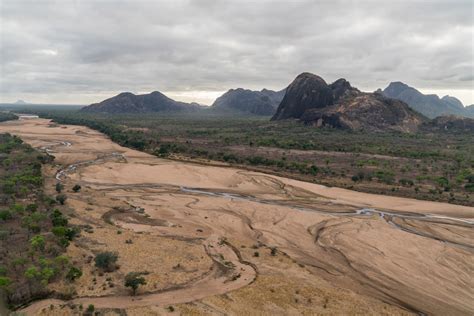 Niassa lions benefit from elephant poaching - Africa Geographic