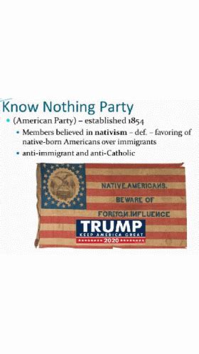 Know Nothing Party Trump GIF - Know Nothing Party Trump Patriot Flag ...