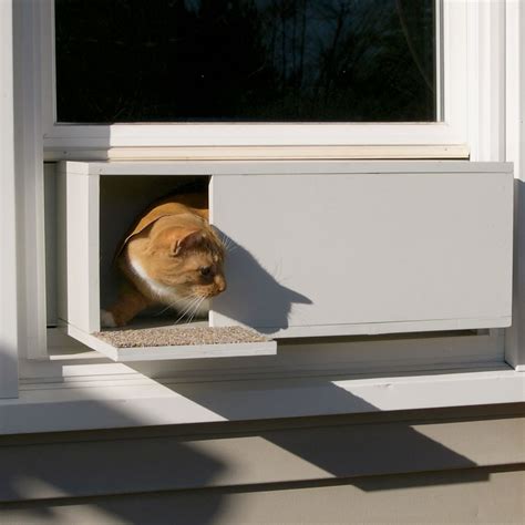 20 types of Cat doors - house-ideas.org