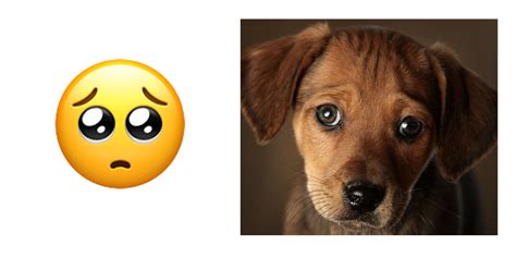 🥺 Puppy Dog Eyes Emoji - Pawfect Review