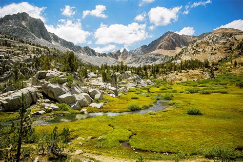 USA, California, Sierra Nevada, Bushes on both sides of a road Poster ...