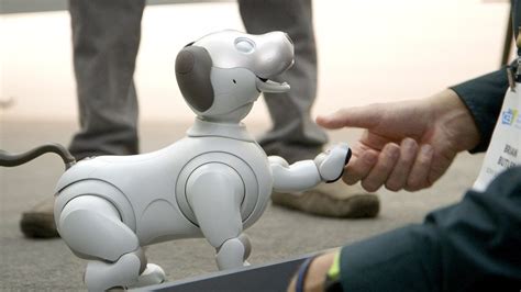 Sony's new Aibo is a very good robot dog - OnlyRobots.com