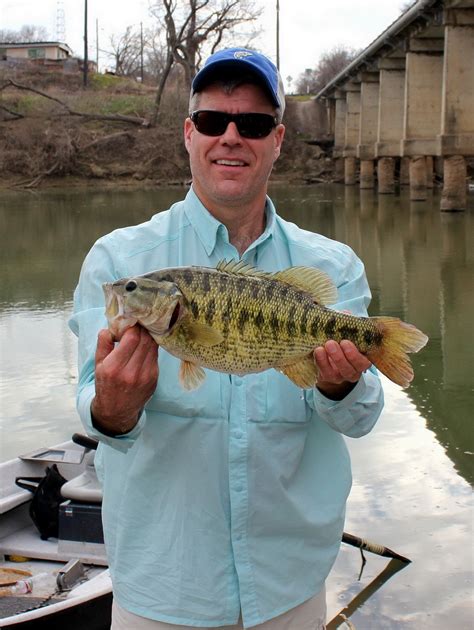 Texas angler catches record Guadalupe bass on Colorado River