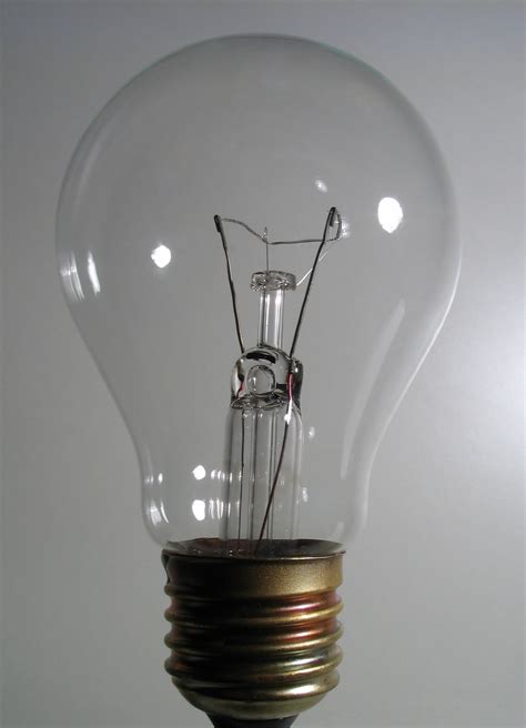 File:2006-02-01 Bulb.jpg - Wikimedia Commons