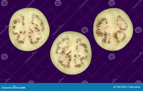 Eggplant in cross section. stock image. Image of herbal - 74979253