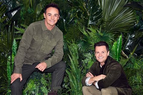 I'm A Celebrity's Ant and Dec gear up for new series with jungle ...