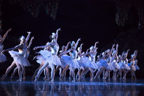 Swan Lake | Traditional Ballets at BalletMet