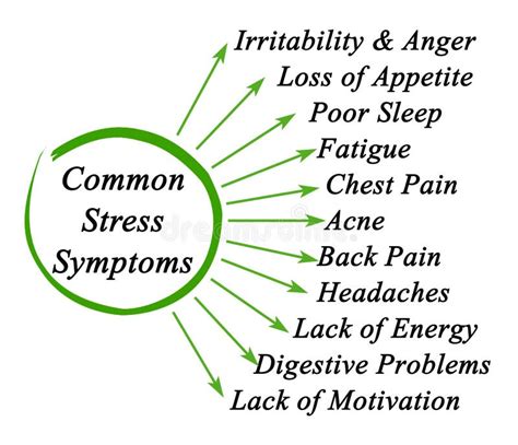 Common Stress Symptoms stock illustration. Illustration of digestive ...