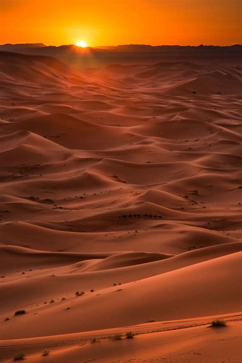 Moroccan Sunset - The sun setting over the Sahara desert in Morocco - taken from the top of one ...