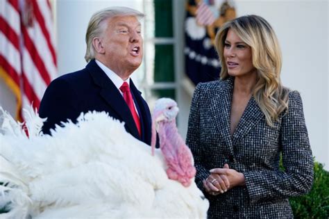 Donald Trump’s Turkey Pardon 2020: Photos Of White House Event ...