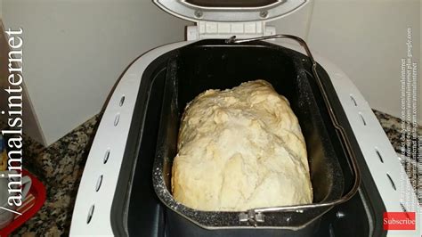 How to make bread with Silvercrest LIDL bread maker automatic machine SBB850A1 IAN109779 - YouTube