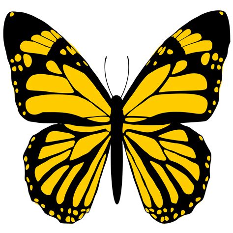 yellow butterfly design 24134732 PNG