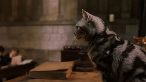 Professor McGonagall voted as the greatest Harry Potter character - Heart