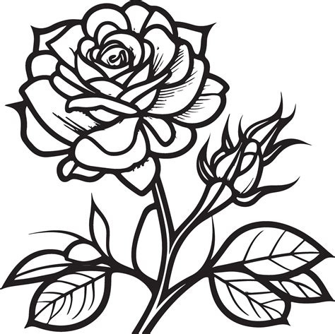 Rose Flower Clipart Black White Images. Hand drawn roses. Sketch rose ...