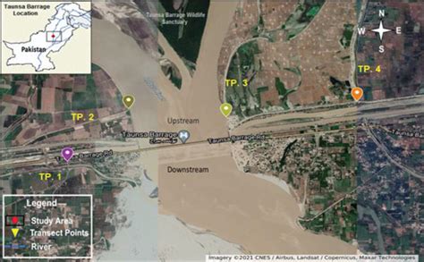 Map showing location of Taunsa Barrage Ramsar site and selected study... | Download Scientific ...