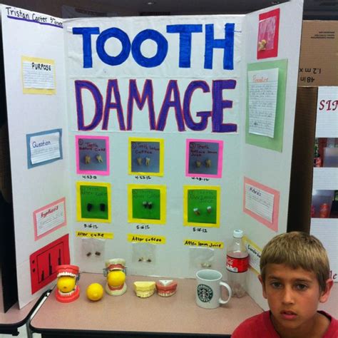 Pin on science | Science fair projects, Elementary science fair ...